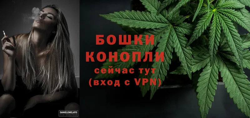 МАРИХУАНА SATIVA & INDICA  закладки  Собинка 